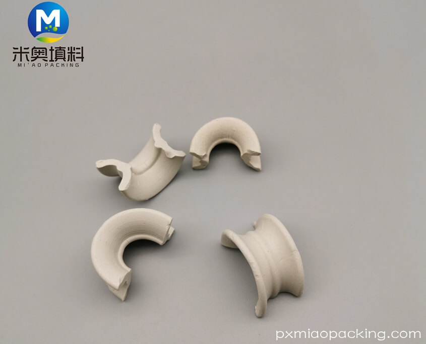 Ceramic Intalox Saddle (3)