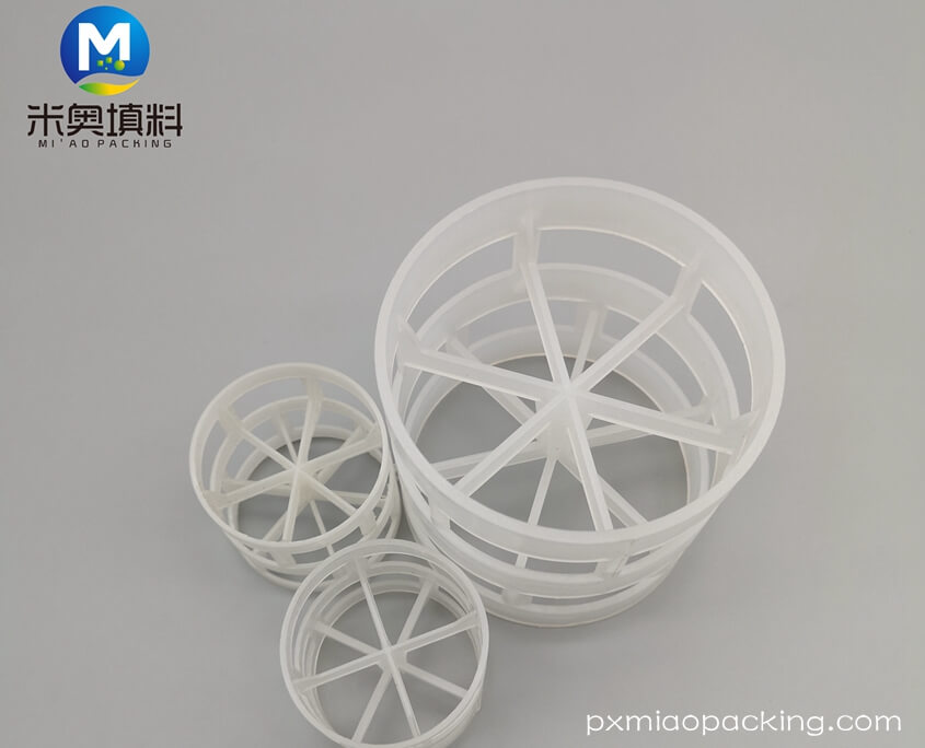 Plastic Pall Ring (1)