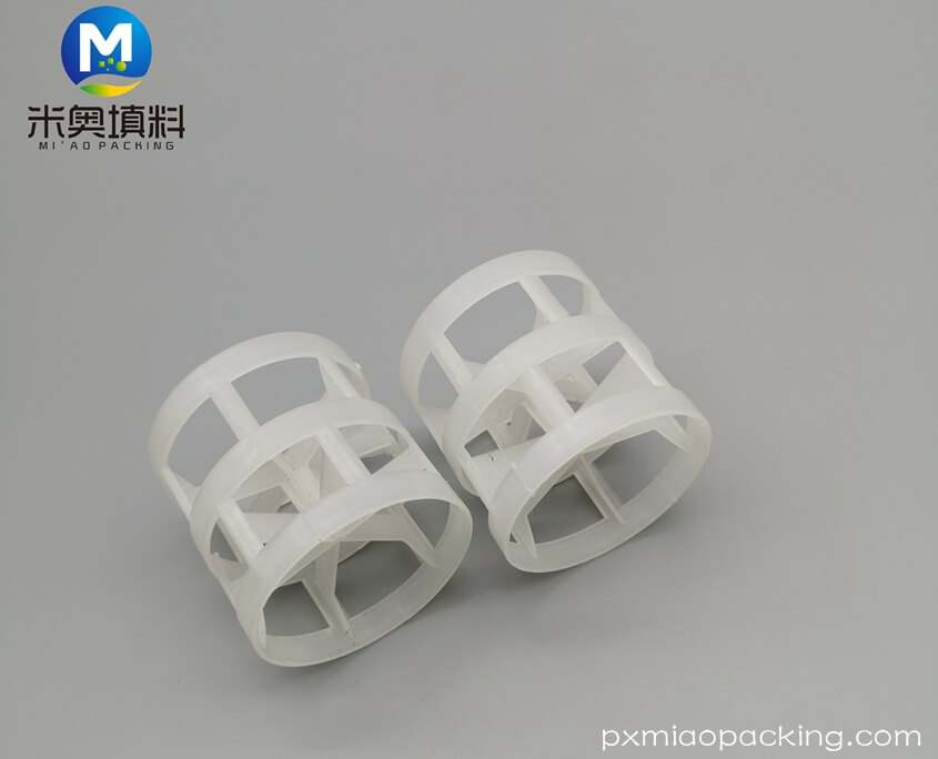 Plastic Pall Ring (3)