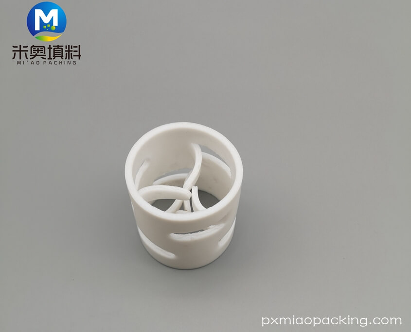 Plastic Pall Ring (5)