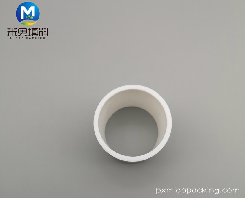 Plastic Raschig Ring (3)