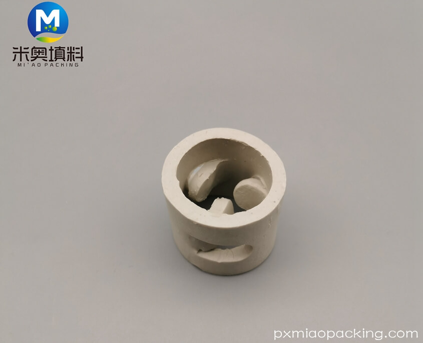 ceramic-pall-ring_05